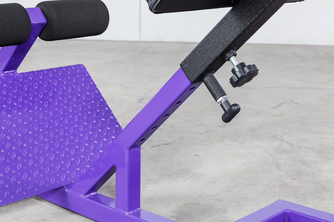 Elitefts Scholastic 45 Degree Back Raise Detail