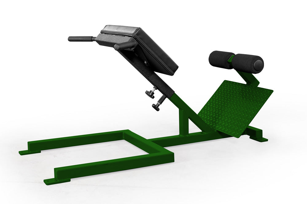 elitefts Scholastic 45 Degree Back Raise