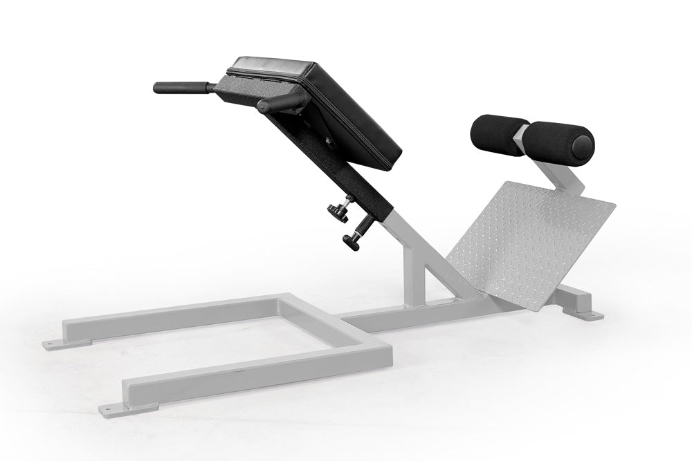 elitefts Scholastic 45 Degree Back Raise