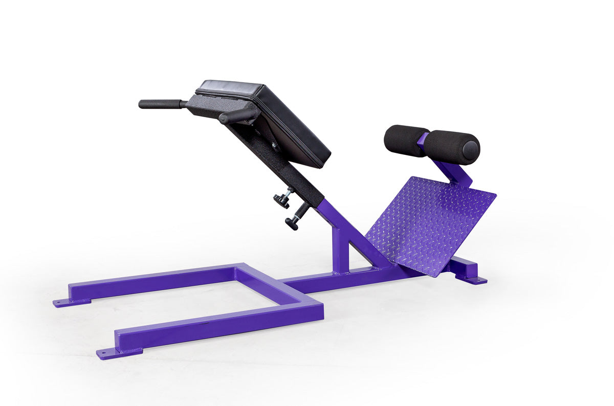 Elitefts Scholastic 45 Degree Back Raise