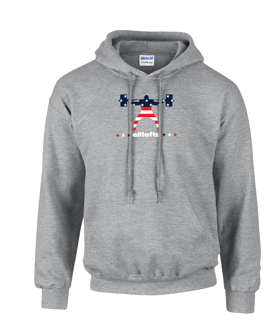 picture of elitefts American Flag Squatter Hoodie grey