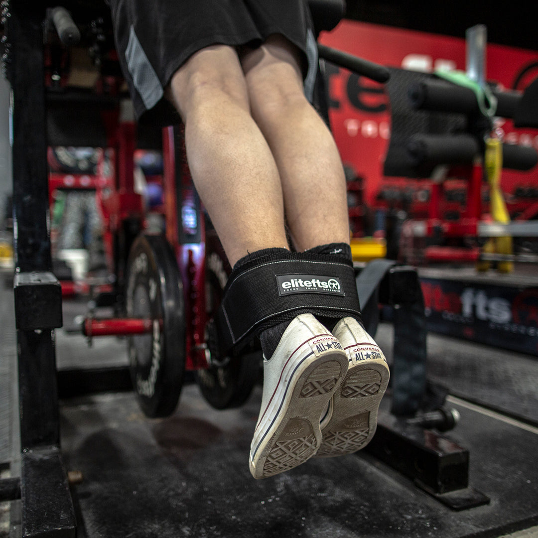 picture of elitefts Nylon Ring Belt in use