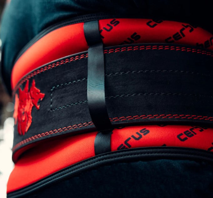 picture of CERBERUS 7MM NEOPRENE UNDERBELT with a belt over it