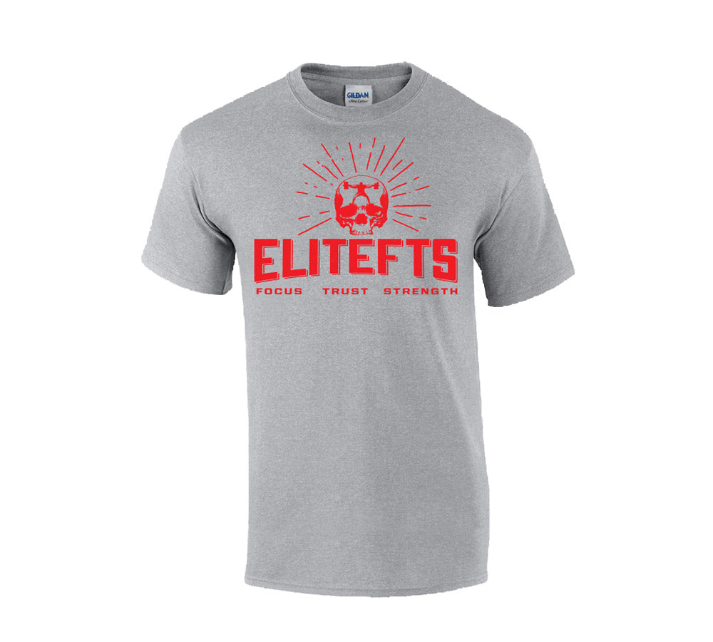 picture of EliteFTS Skull t-shirt grey