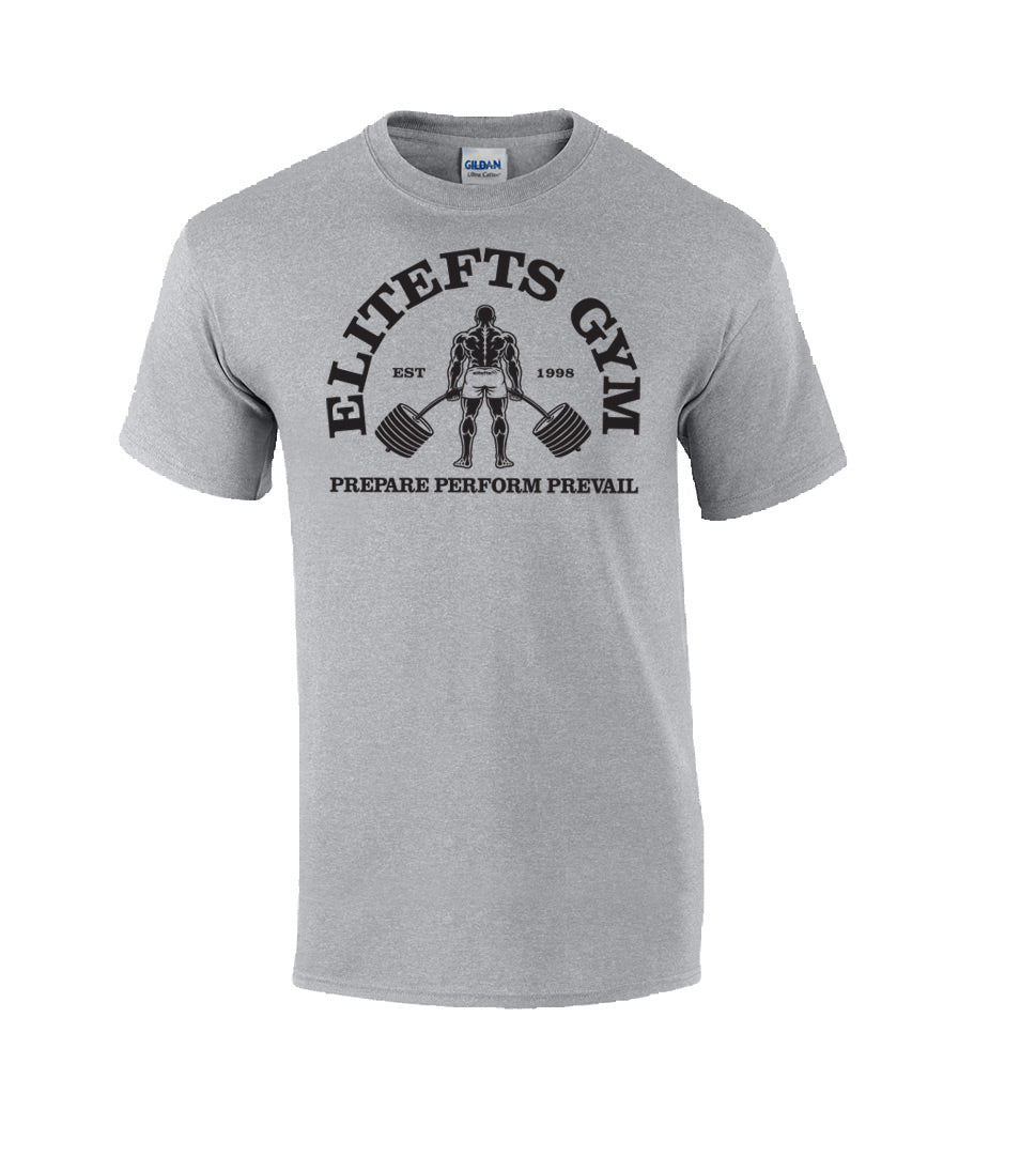 picture of elitefts Gym Shirt T-Shirt grey