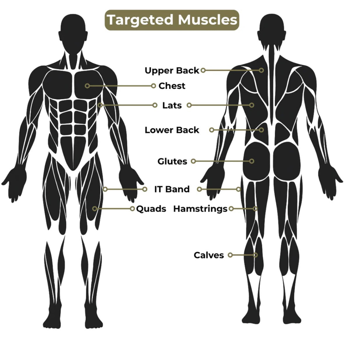 The Original Stick-Hunter Stick chart showing the targeted muscles