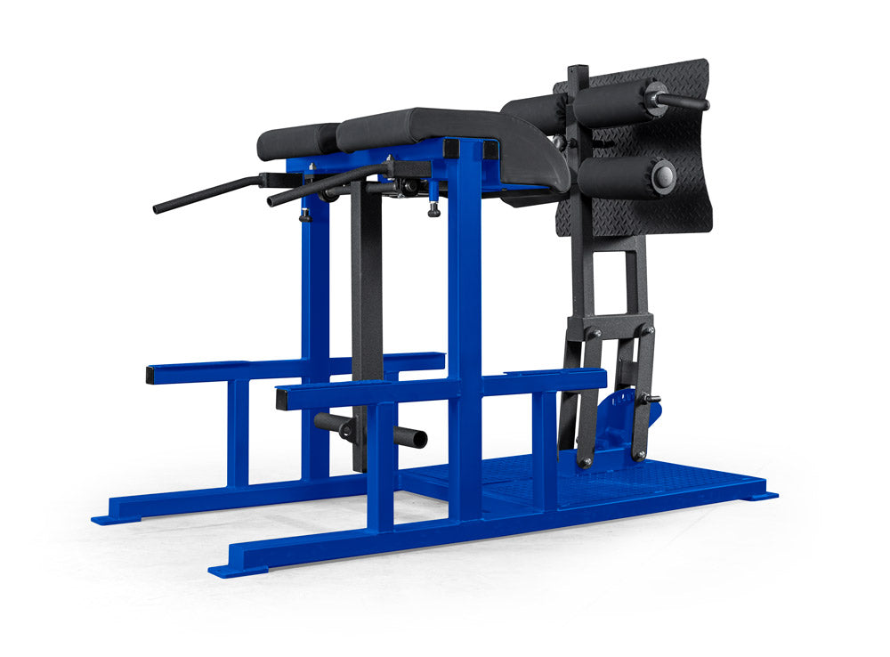 elitefts Posterior Chain Developer