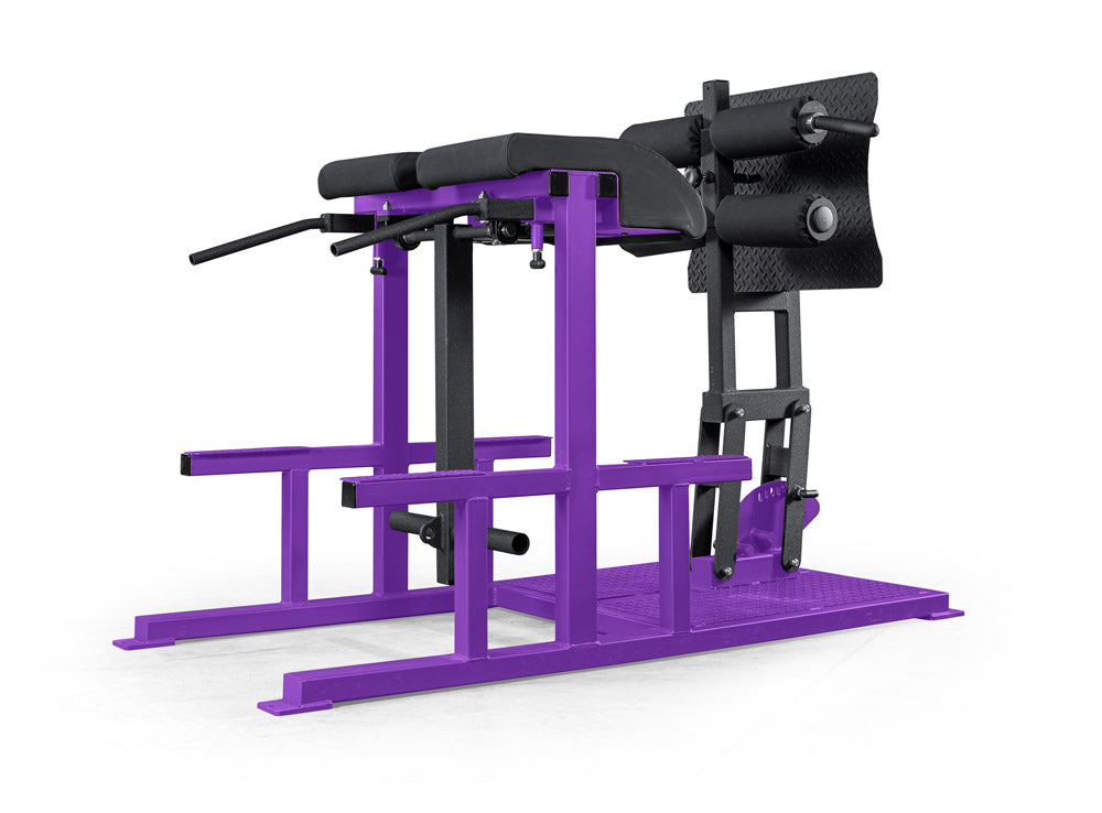 elitefts Posterior Chain Developer