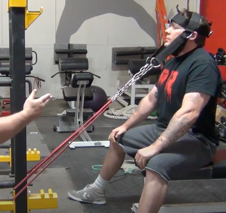 picture of deluxe padded head harness in use with bands