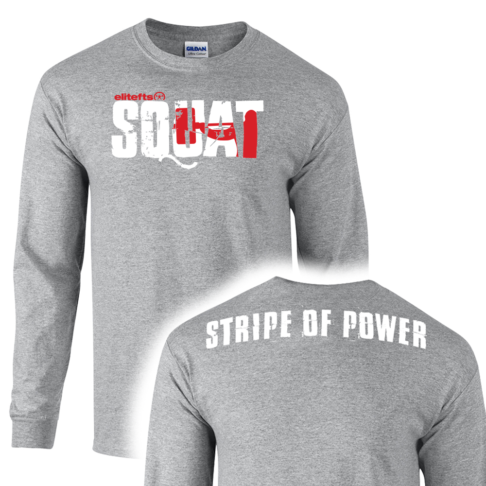 picture of elitefts Stripe of Power Long Sleeve T-Shirt grey