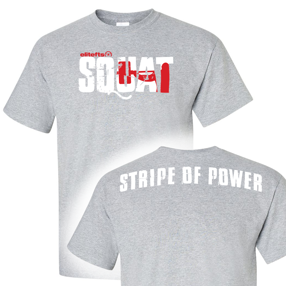 elitefts Stripe of Power T-Shirt Grey