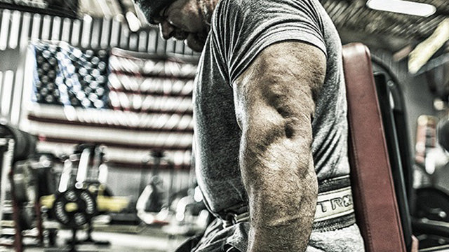 tate tricep