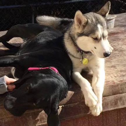 Lower Speed Work, and A Tragic Loss (w/ VIDEO)