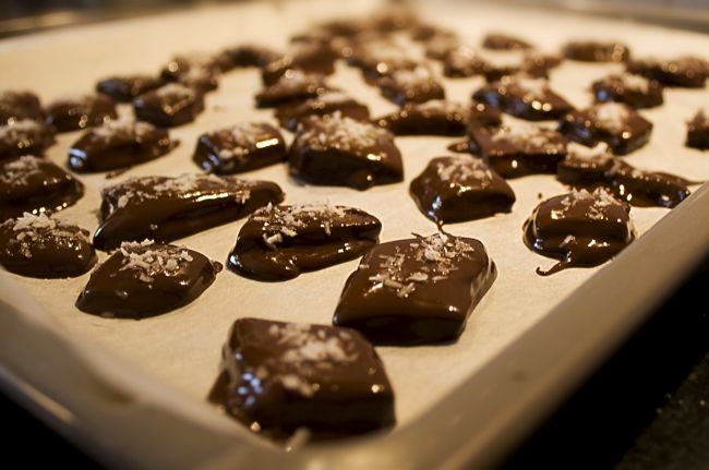 Novelty Is the Biggest Aphrodisiac