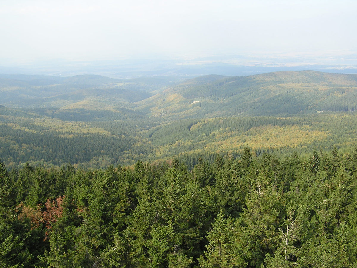 Under The Bar: It's all Downhill