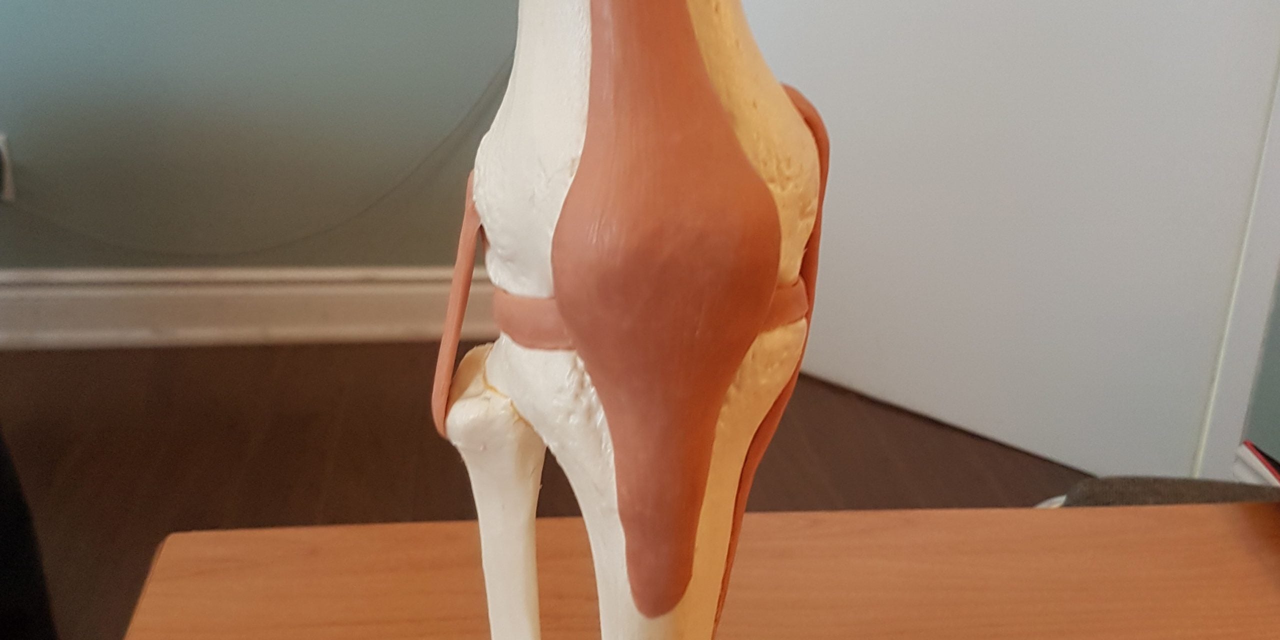 MRI, Ultrasound &amp; X-Ray Results!