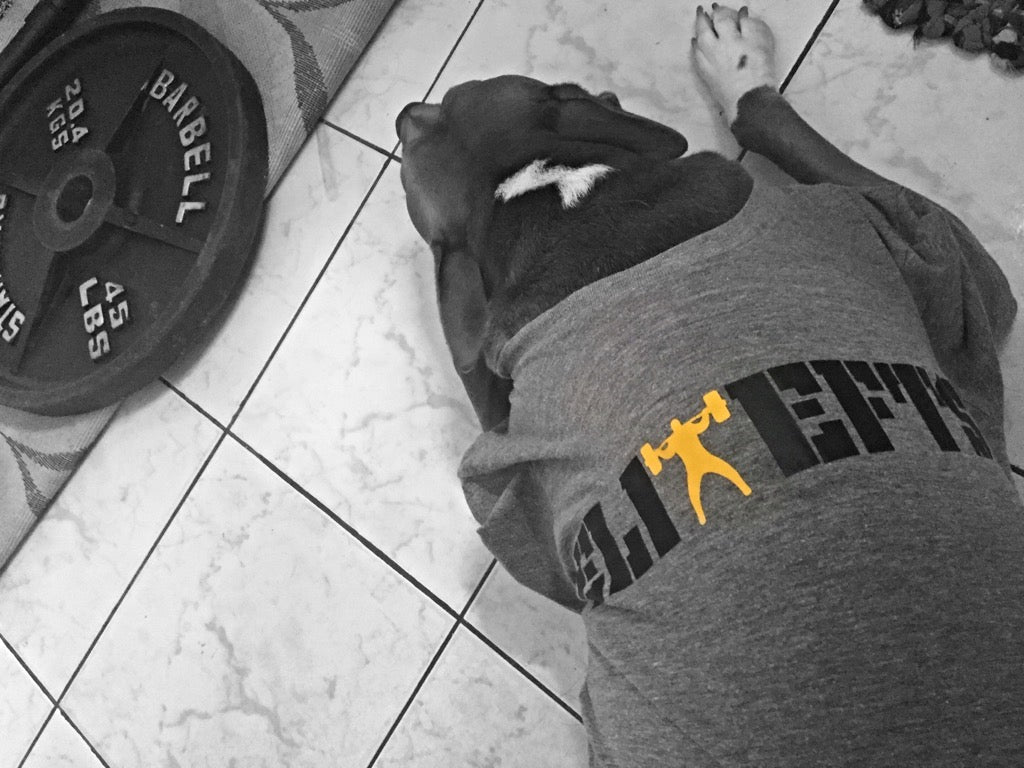 Circus DB Presses/Upper Body