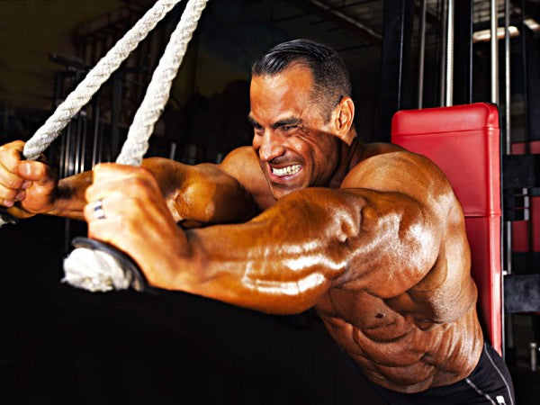 Primary Chest, Shoulder &amp; Triceps