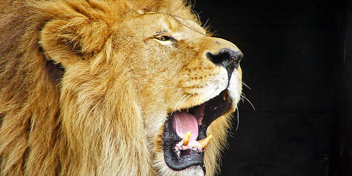 5 Leadership Mistakes in Personal Training