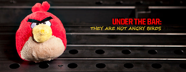 Under the Bar: Fathers and Children with Disabilities