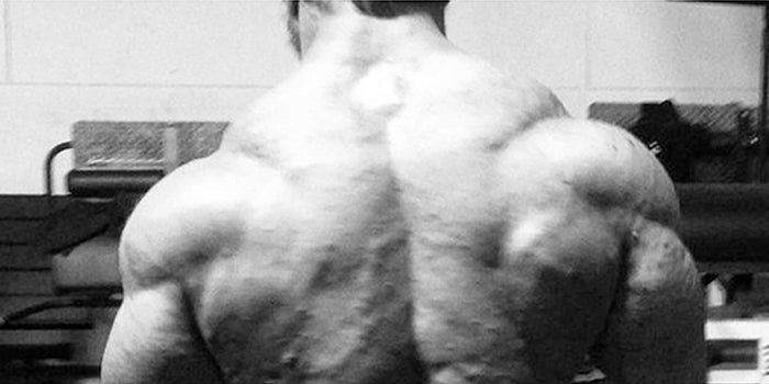 HWBT: Week 2 Back and Bi's