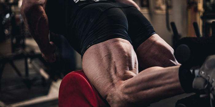 WATCH: Squats &amp; Leg Training