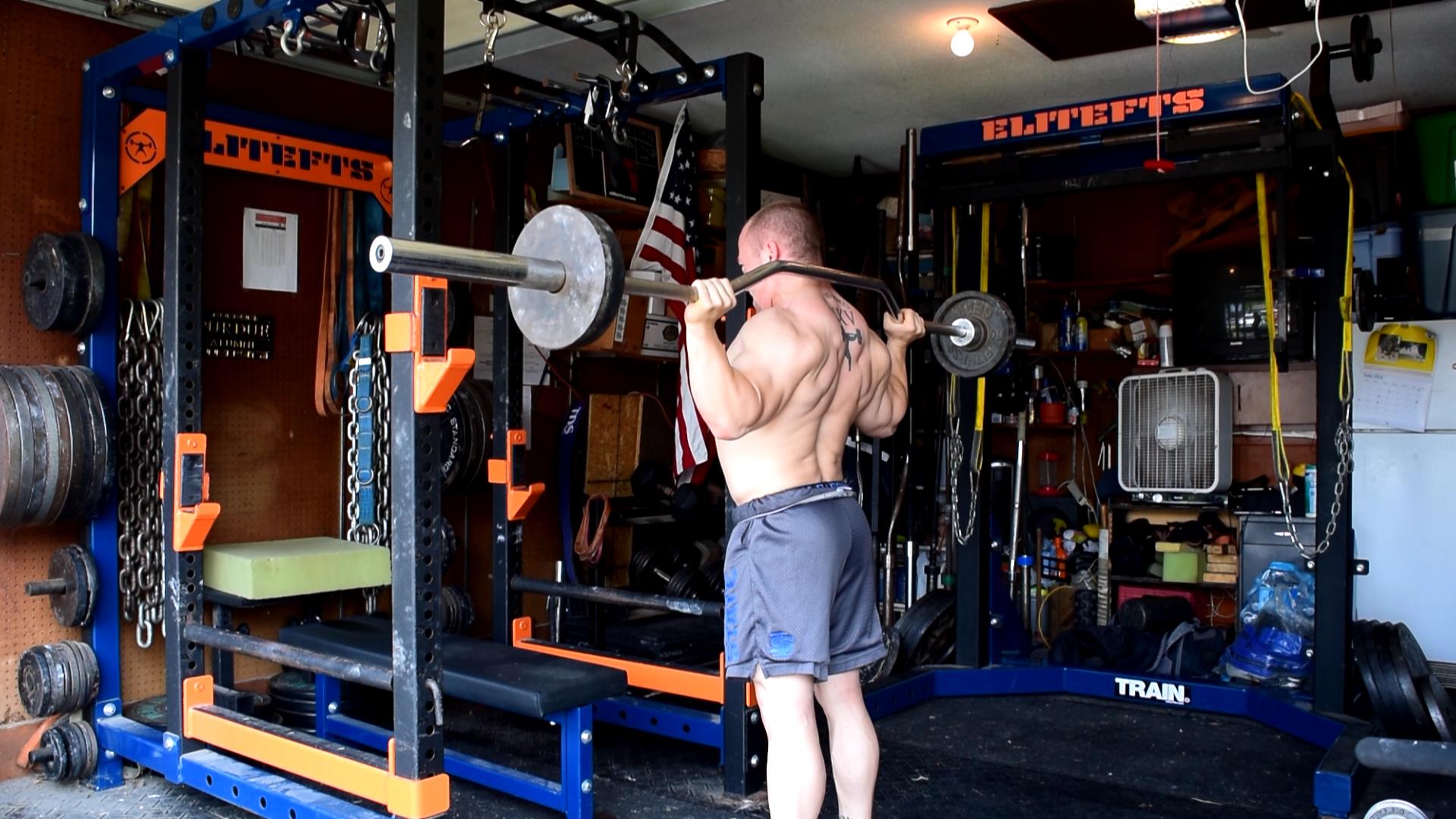 Chest, Back, and Shoulders