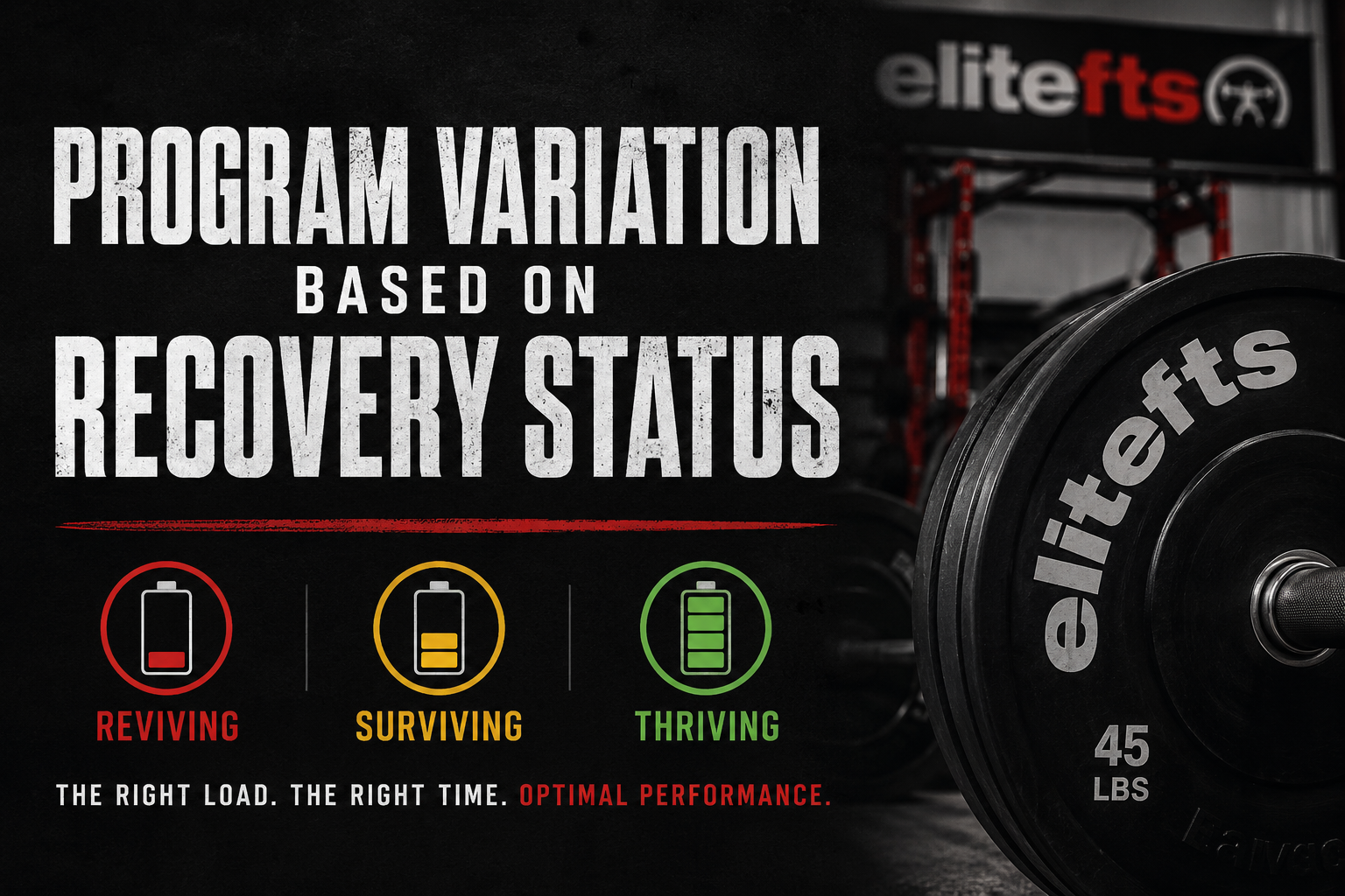 Program variation  