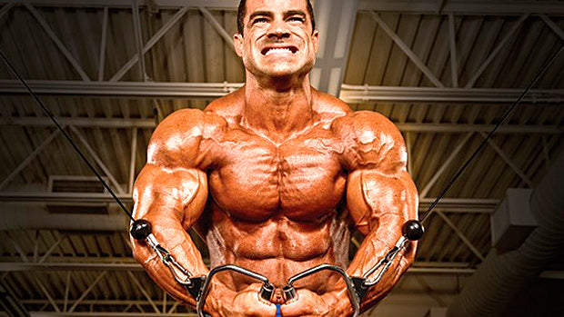 Chest, Shoulder &amp; Triceps