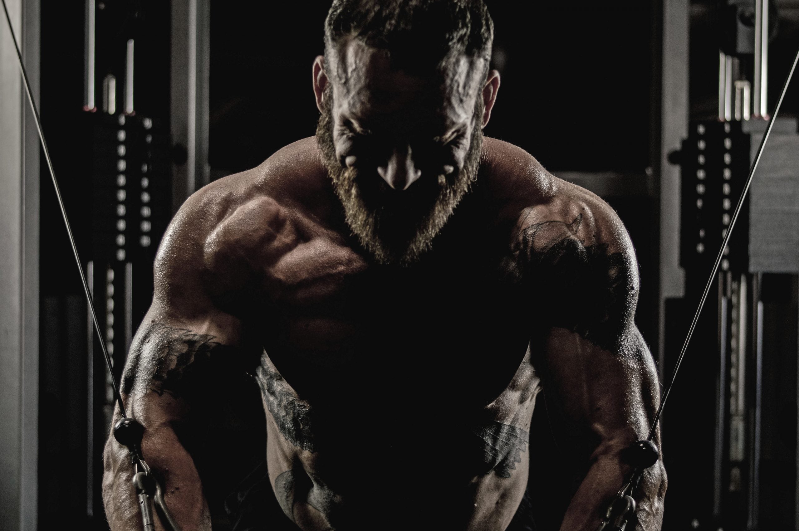 They Can't all Be Great - 550 No Hands Front Squat - 335x20 Revers grip bench - 2016wk20