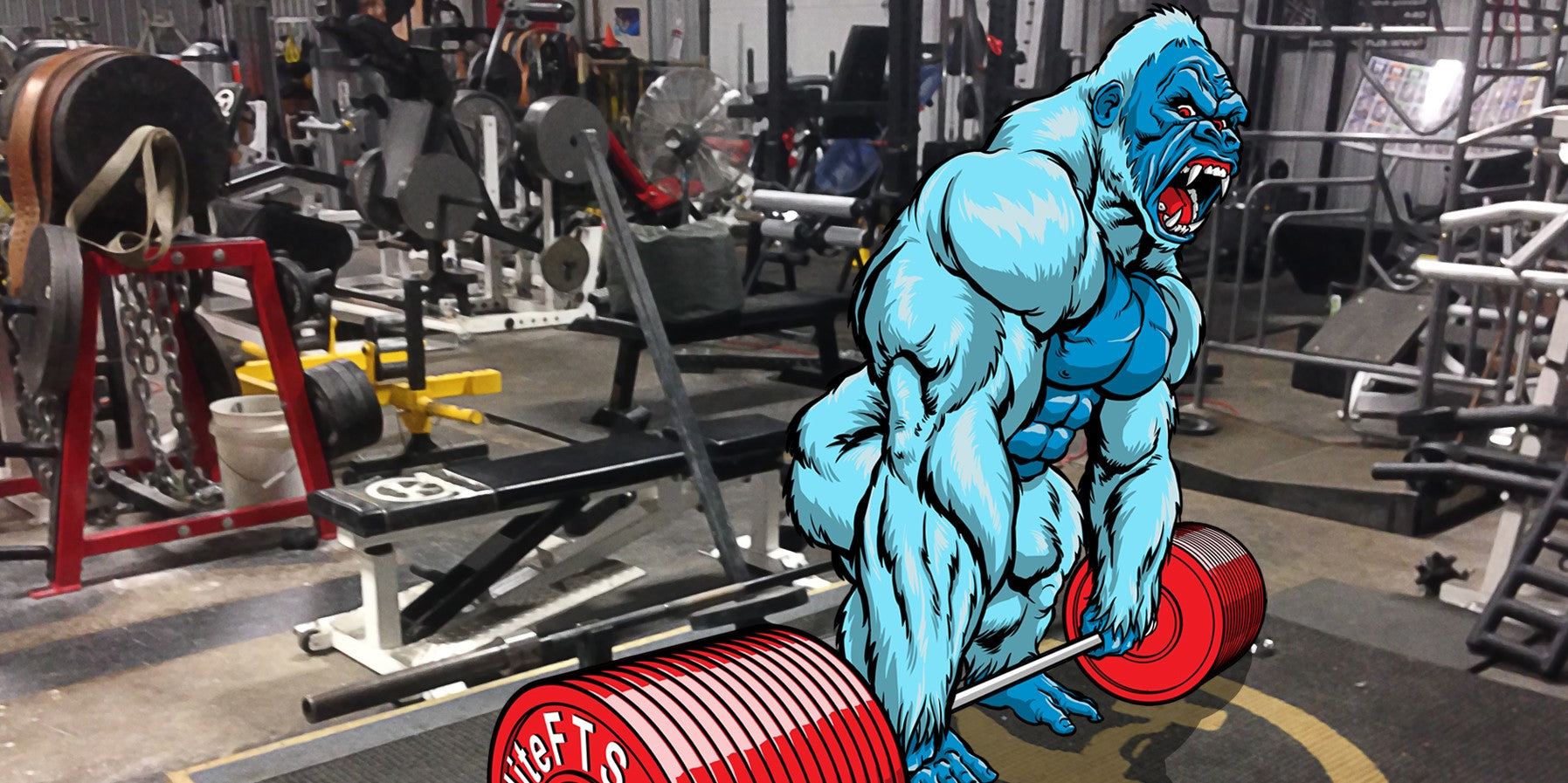 Deadlifts Or Deathlifts, Still To Be Determined!