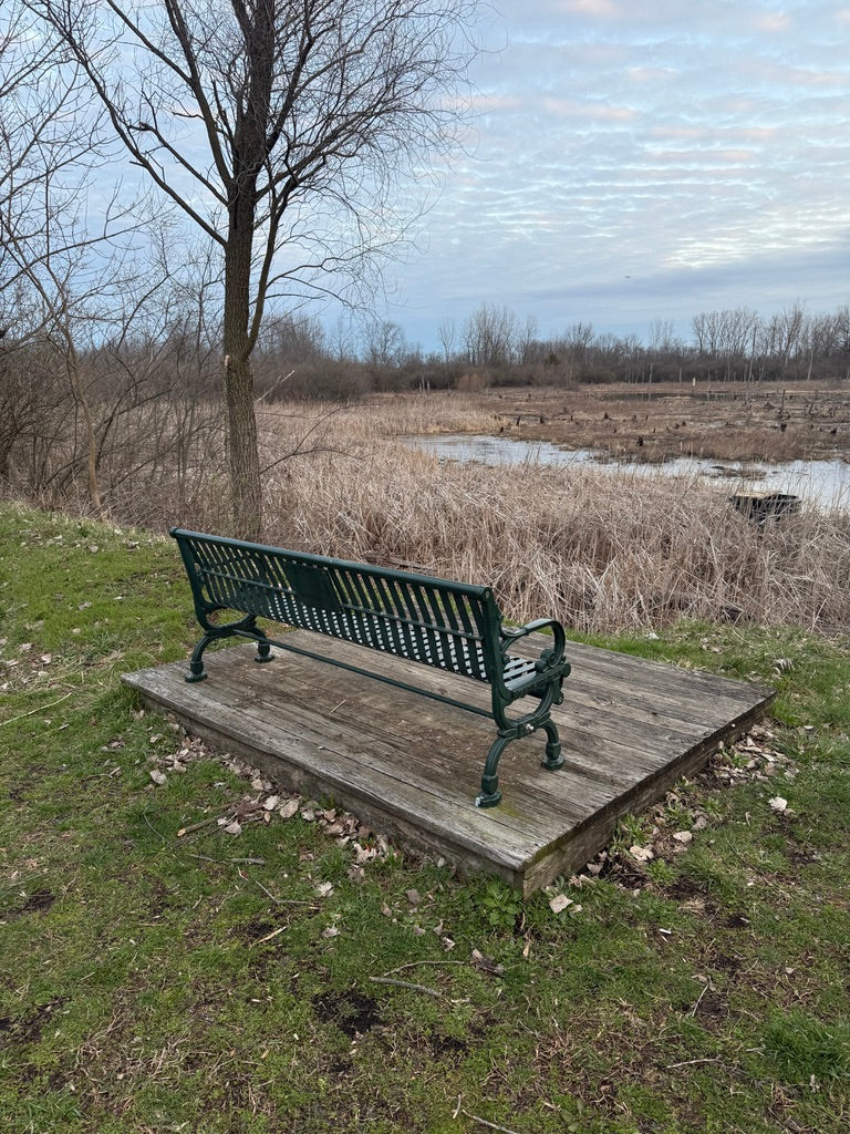 Bench on Trail 