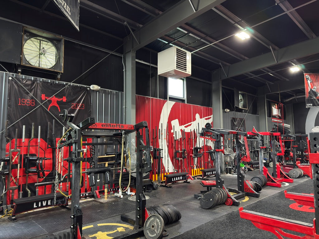 elitefts gym 
