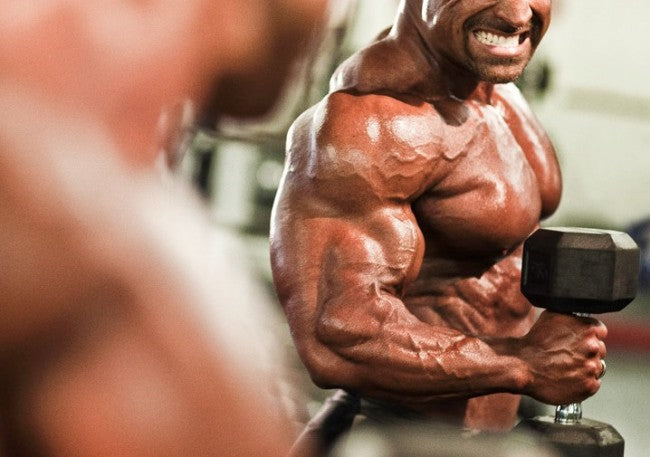 Back, Bi's &amp; Abs