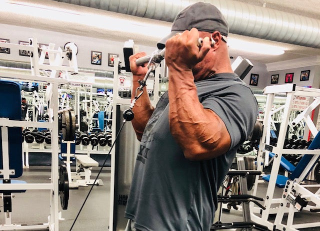 TWIBB Notes - Training the TVA