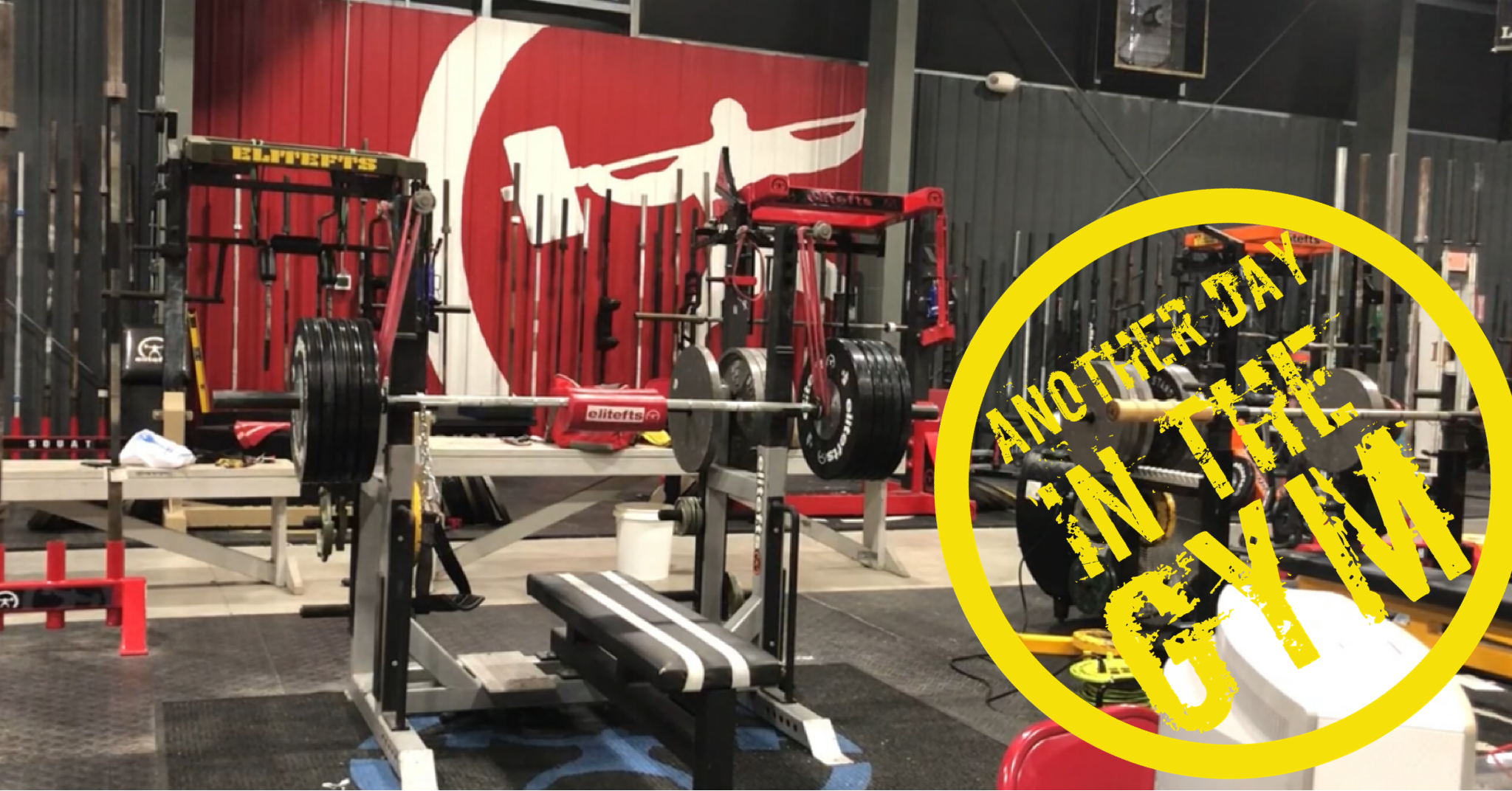 Another Day In The Gym