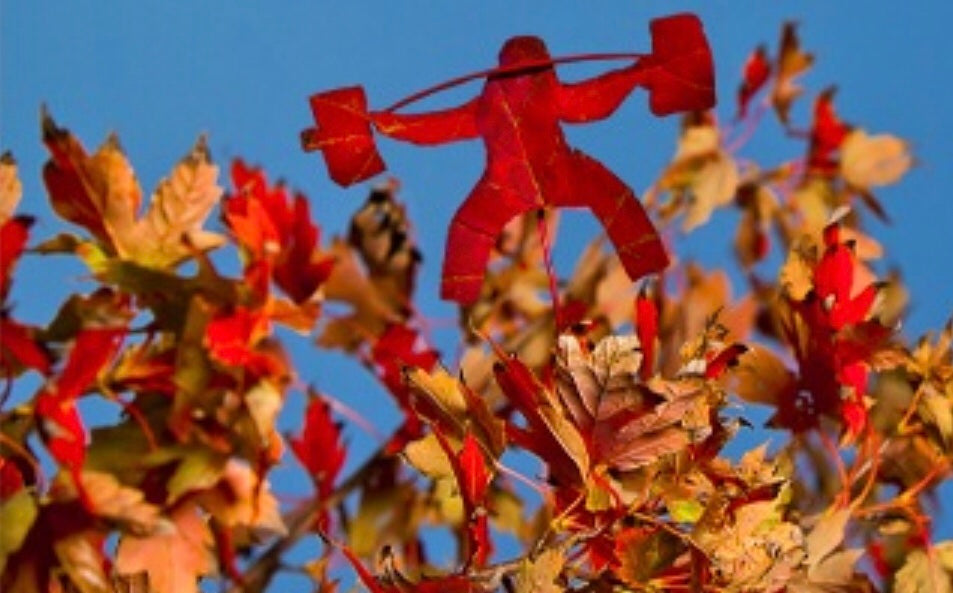 A Lumberjack, a Farmer, and a Stoner Walk into a Bar...