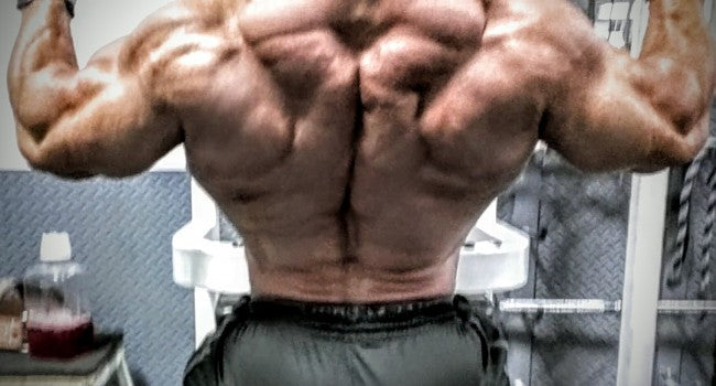 Back &amp; Biceps