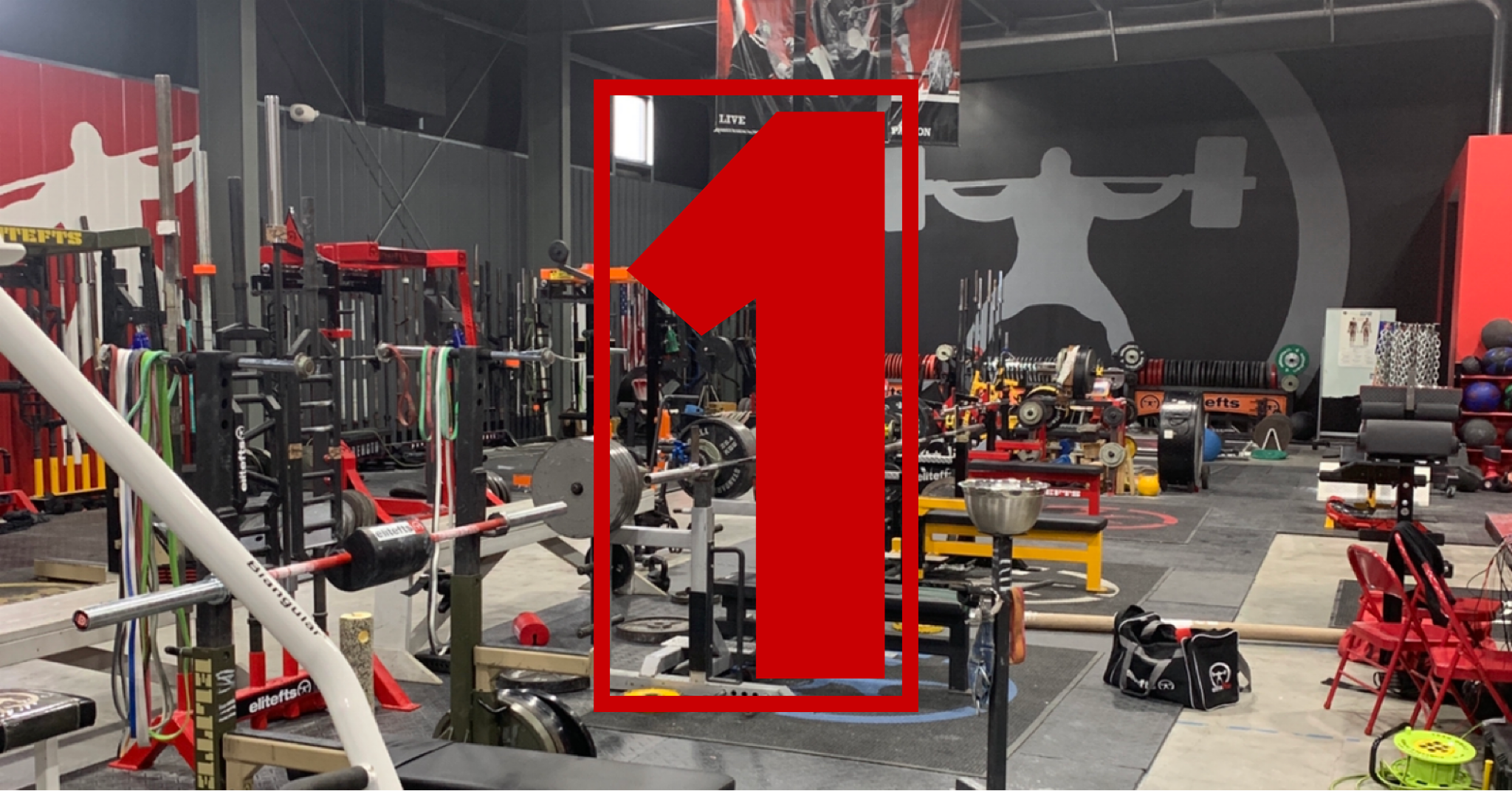 How Can I Train At elitefts? Part 1