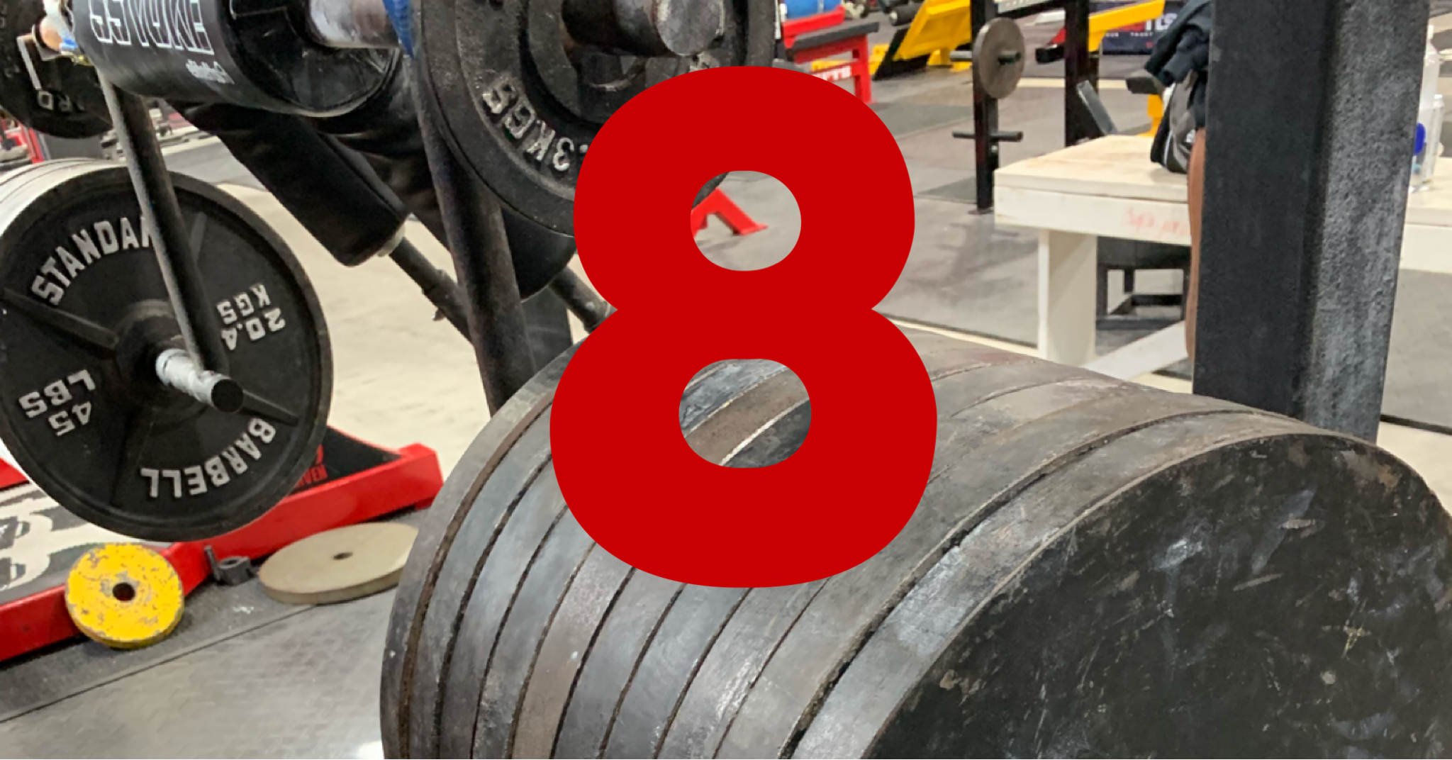 How Can I Train At elitefts? Part 8