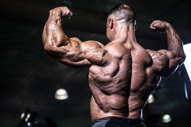 Back &amp; Biceps