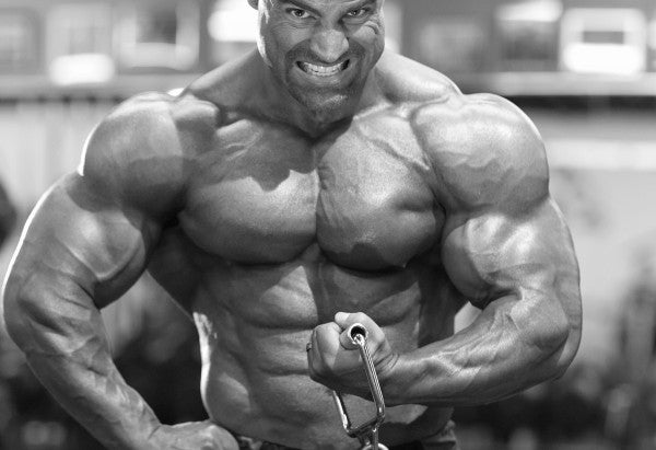 Primary Chest &amp; Shoulders