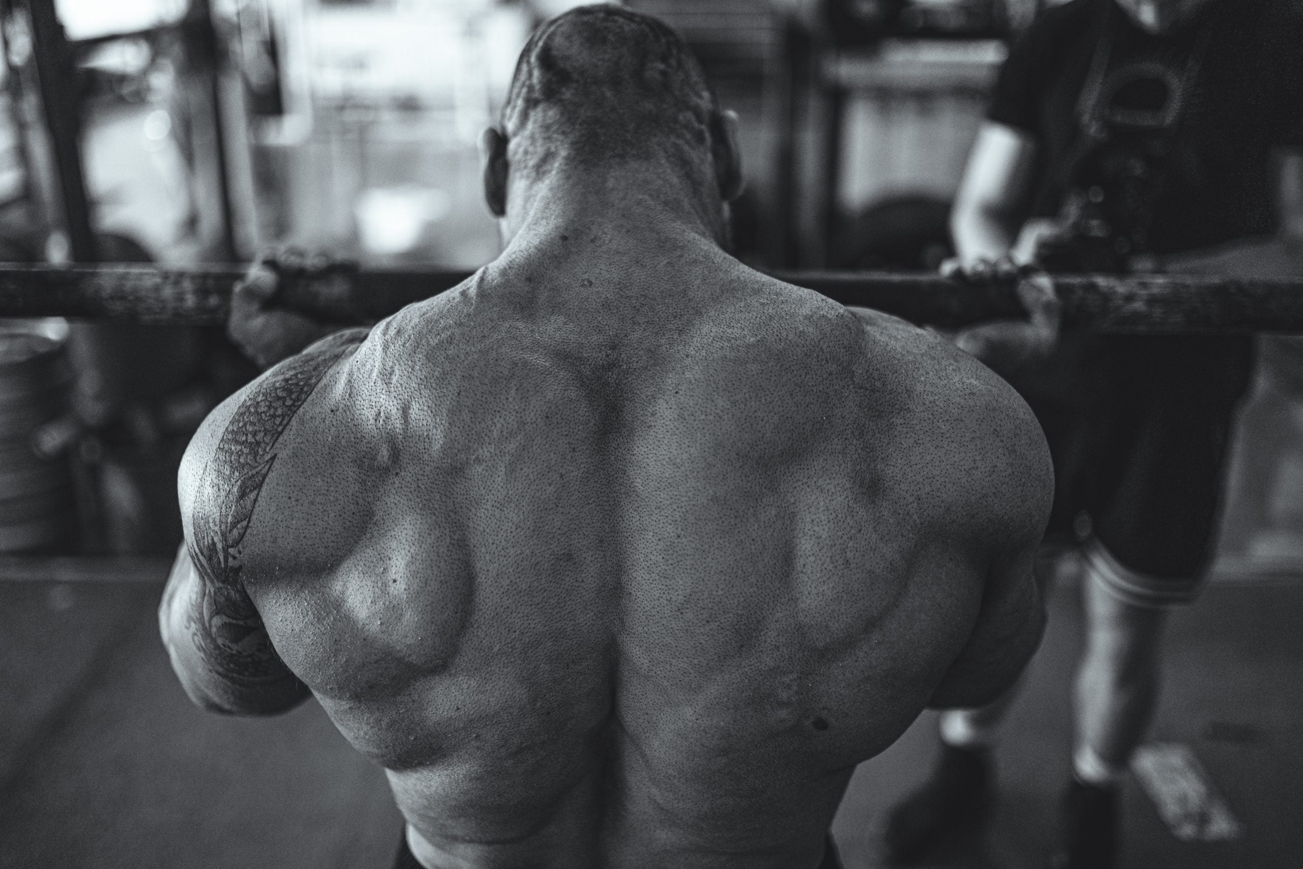 WATCH: Mobility for Powerlifting &amp; Bodybuilding