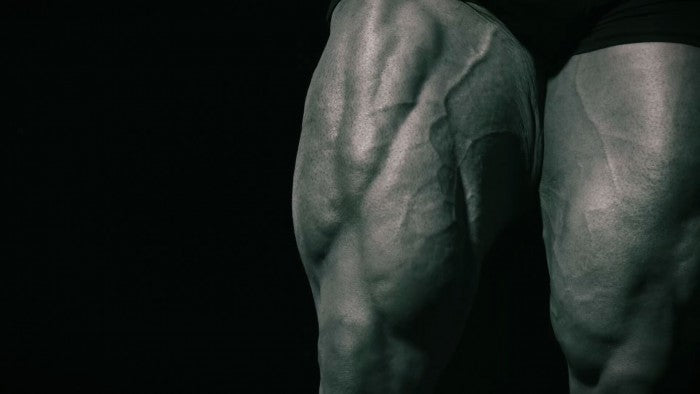 legs training