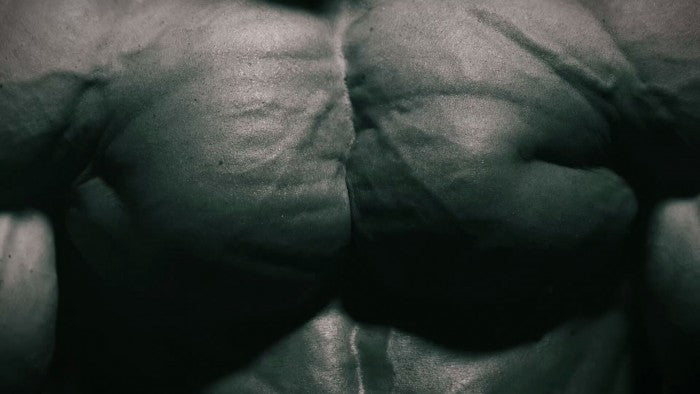 Primary Chest &amp; Shoulders