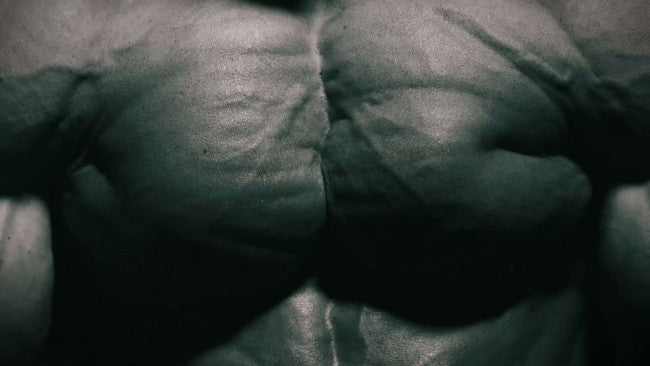 Secondary Chest, Tri's, Abs &amp; Calves