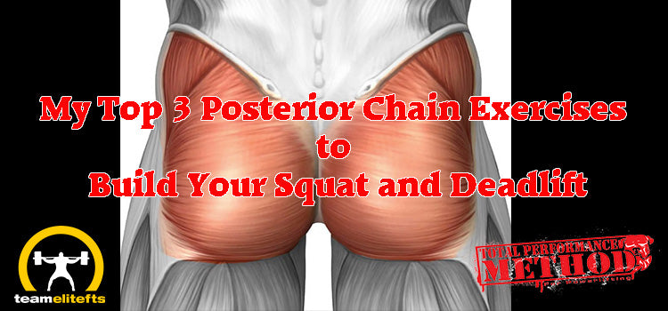 CJ Murphy, elitefts, glutes, hamstrings, lower back, posterior chain, ghr, keystone, deadlift, squat