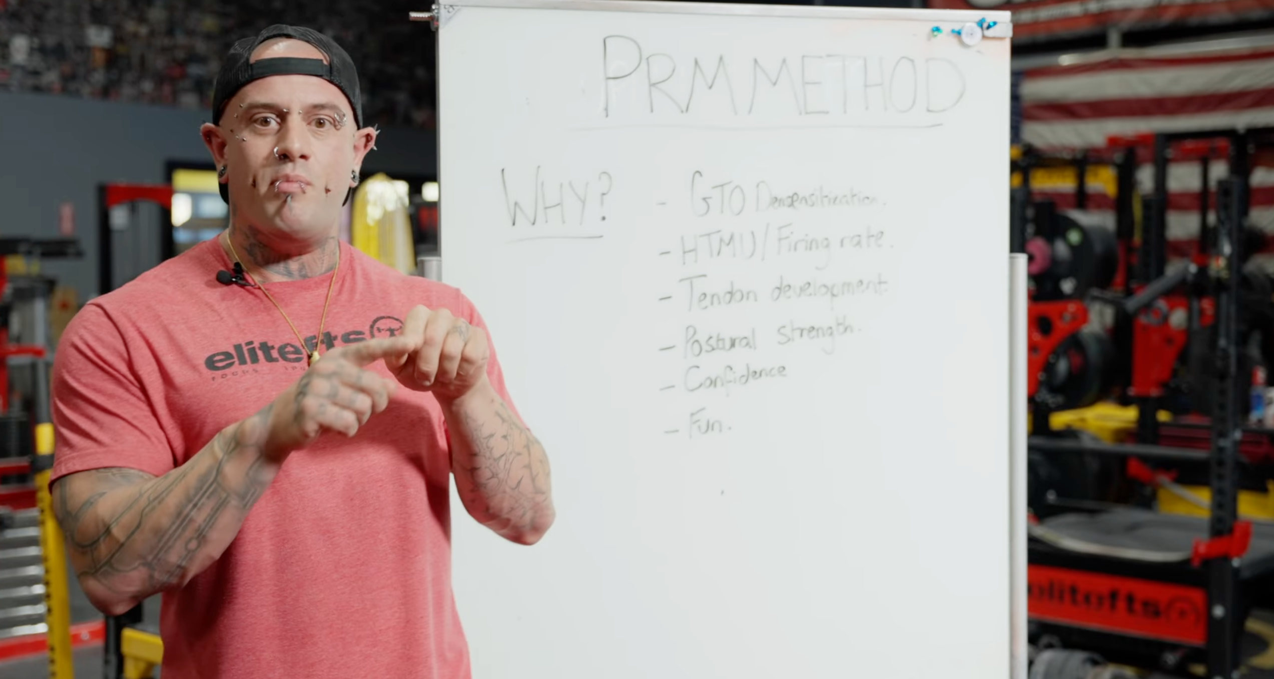 PRM Model Tom Sheppard 