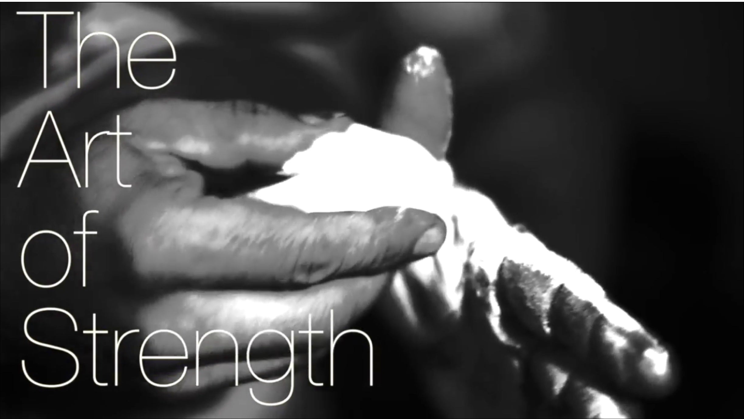 The Art Of Strength - Video