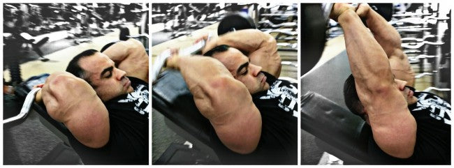 Primary Chest, Shoulders &amp; Triceps